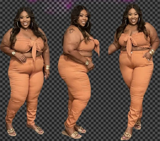 PLUS SIZE -POCKET DENIM STRETCH PANTS/JEANS