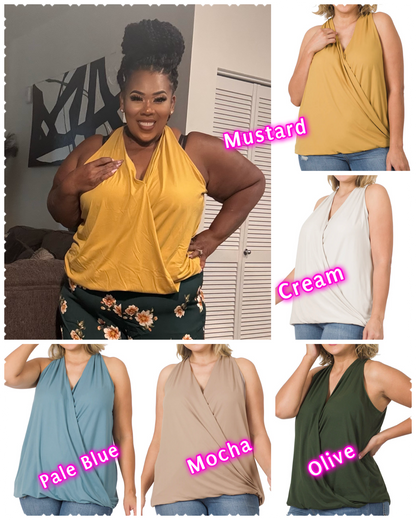 PLUS SIZE BRUSHD SURPLICE TOP (will ship 9/10)